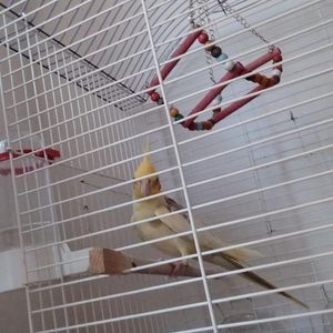 BEGÜM Tuana profil görseli