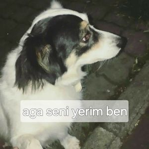 Firdevs profil görseli