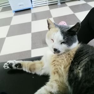 Alya profil görseli