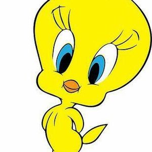 civcivv🐣 wow profil görseli