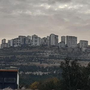 Zeynep profil görseli