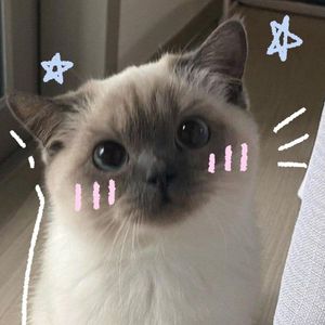 Aişe Görkem profil görseli