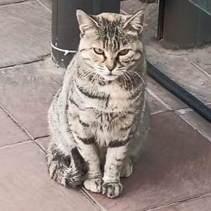 Pınarnur  profil görseli