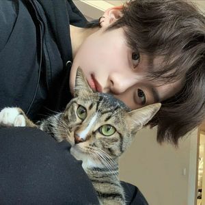 linowww profil görseli