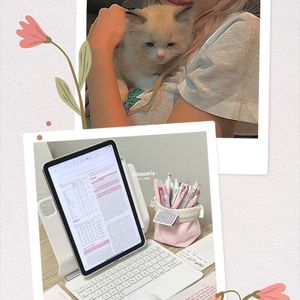 Elif Fatıma  profil görseli