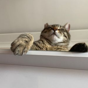 eylül profil görseli