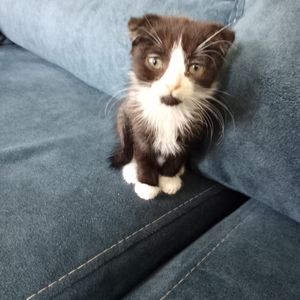 Belinay profil görseli