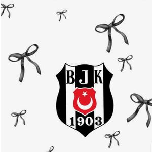 Asminbjk profil görseli