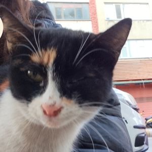 💗 profil görseli