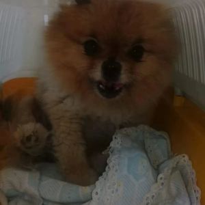 Berenp2_ . profil görseli