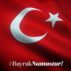 Büşra Yıldırım profil görseli