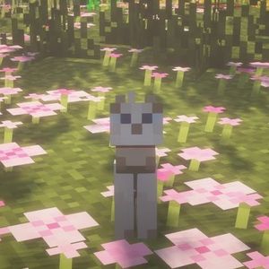 durrizz 747 profil görseli
