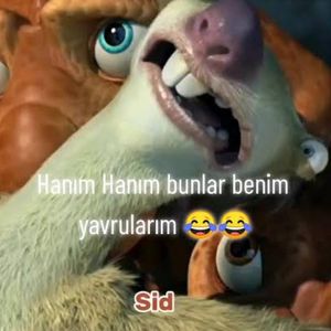 Neslihan  Yılmaz profil görseli