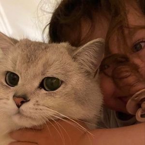 Səmo Mystafayeva profil görseli