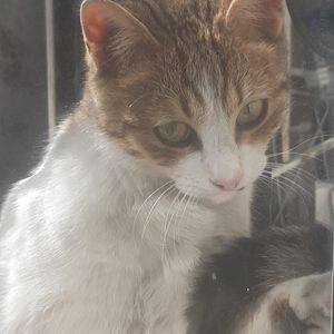 Zeynep Reyyan Aydın profil görseli