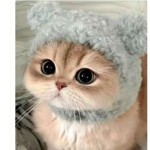 Cennetsu Koçak profil görseli