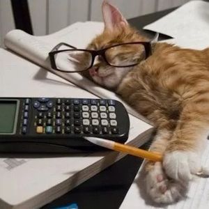 lilberisstudyy! ! profil görseli