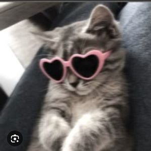Ecrinss 666 profil görseli