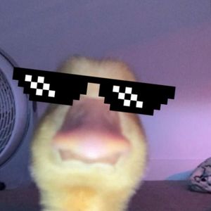 Şeyma profil görseli