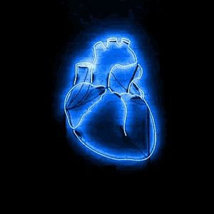 ♡Eliff_6 profil görseli