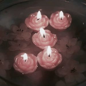 Cikolatalipudink profil görseli