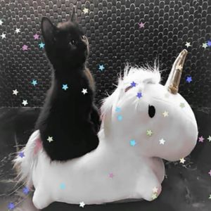 Zumi Diva profil görseli